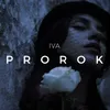 About Prorok Song