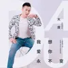 About 我想爱你永不变 Song