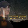 About יוסף חביבי Song