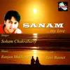 About Sanam...My Love Song