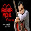 About Brishtir Michil Song