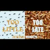 About Too Little Too Late Song