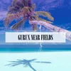 About Near Fields Radio Vrs. Song