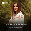 About Таулу халкъым Song