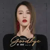 About Goodbye 电视剧《青春创世纪》插曲 Song