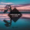 About Breathe Me Song