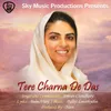 About Tere Charna De Das Song