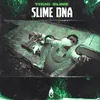 About Slime DNA Song