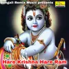 About Hare Krishna Hare Ram Song