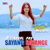 Ditinggal Pas Sayang Sayange