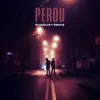 Perdu