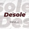 About Désolé Song