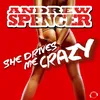 She Drives Me Crazy (Hands Up Mix)