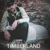 About Timberland Song
