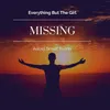 About Missing Adoel Smidt Remix Song