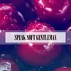 About Speak Soft Radio Vrs. Song