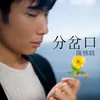 About 分岔口 Song