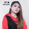 Prei Sayang (Versi Dangdut Koplo)