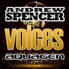 Voices Radio Edit