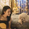 Xin Lỗi Acoustic