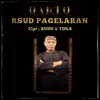 About RSUD PAGELARAN Song