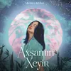 About Axşamın Xeyir Remix Song