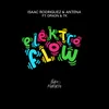 About Elektro Flow Song