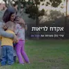 About אקדח לריאות Song