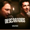 About Descarados Song