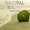 About Natural sound Strong soul Song