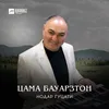 Цама бауарзтон