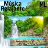 About Musica Reiki Song