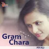 About Gram Chara Song