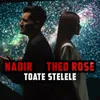 About Toate Stelele Song