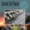 About Flauta Dulce Melodía Song