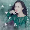 About 别在梦里相见 Song
