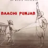 About Baaghi Punjab Song