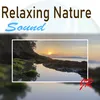 Relaxation Techniques