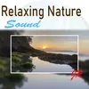 About Your Relaxation Song