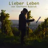 About Lieber Leben Song