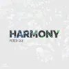 About Harmony Radio Edit Song