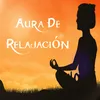About Meditacion Todos los Dias Song