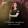 About Ананы жюреги Song
