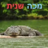 מכה שנית