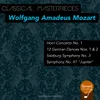 Divertimento in F Major, K. 138 "Salzburg Symphony No. 3": II. Andante maestoso - Allegro assai