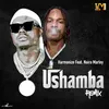 About Ushamba Remix Song