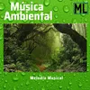 Música para Leer