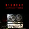 About Birdene Song