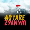 About Zyanym Song