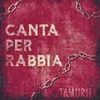 About Canta per rabbia Song